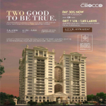 Legacy Cirocco Won The ''Asia Pacific Award''(2017-18)